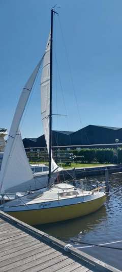 Condor 55 "Aquavit" 3