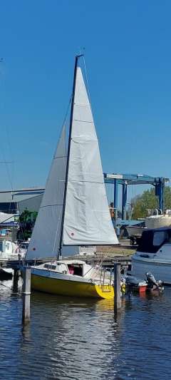 Condor 55 "Aquavit" 2