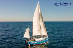 Koopmans 34, Electric World Cruiser, Fossil-Free 4