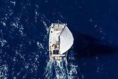Leopard 46