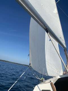 Fabola Campus 600