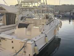 Luhrs 32