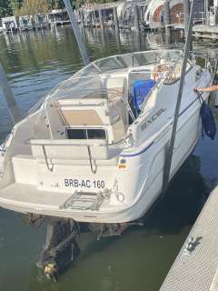 Wellcraft 23 SE EXEL