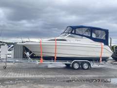 Wellcraft 23 SE EXEL