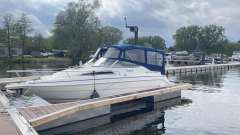 Wellcraft 23 SE EXEL