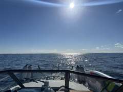 Marex 27 Sun Cruiser