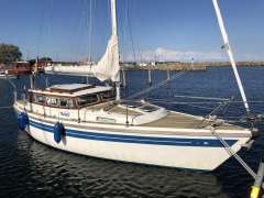 Sirius 31 DS (MS)