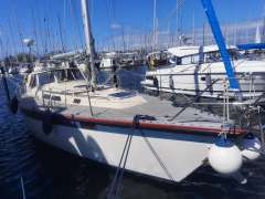 Asmus Hanseat 35 MS