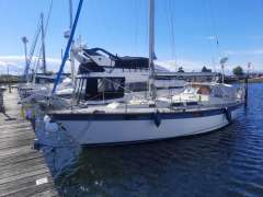 Asmus Hanseat 35 MS