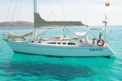 Freedom 38 Yelkenli Yat