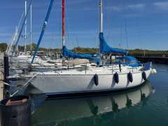Tailwind 36