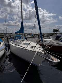 Tailwind 36