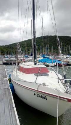 Rebell 25
