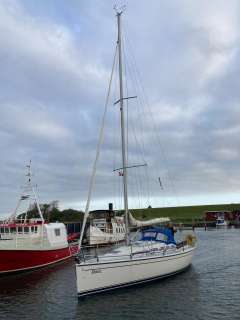 Dehler 29