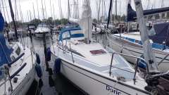 Dehler 29
