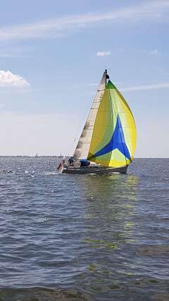 Dehler 29