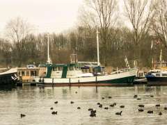 Kotter Ex viskotter zeegaand 1