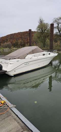 Sea Ray 270 Sundancer Special Edition
