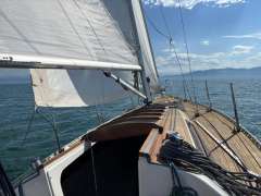 Helmsmann Senorita Helmsman