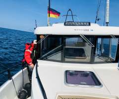 Sargo 28