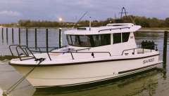 Sargo 28