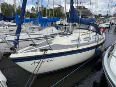 Hurley 800 1