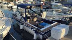 Starcraft Islander 221V