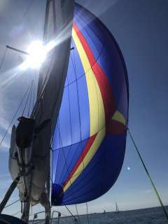 Hallberg-Rassy HR 29