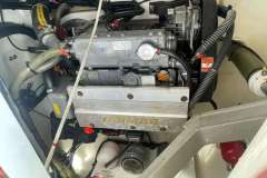 Leopard 42