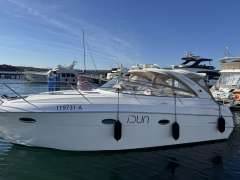 Bavaria Sport 33