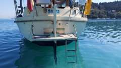 Westerly Konsort Duo 29