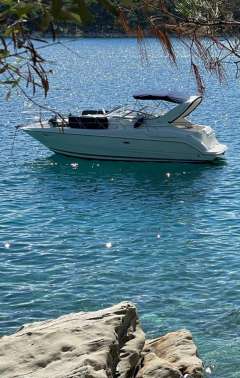 Bayliner 3055