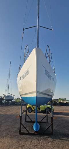 Viko S30 Cruiser
