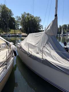 Northman Maxus 24 Evo