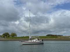 IMG_1608.jpeg
