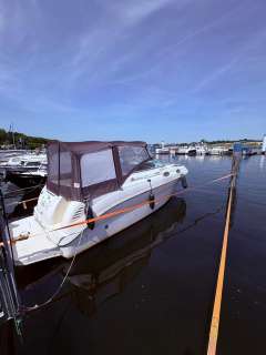 Sea Ray 240 Sundancer