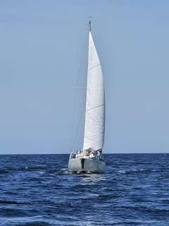 Albin Vega 27