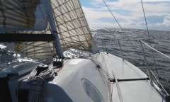 Harp8
