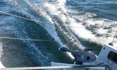 Harp8