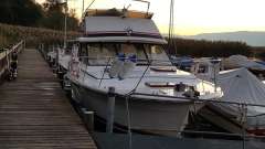 Trojan Sedan F 32 Flybridge