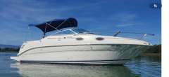 Sea Ray 240 DA Yacht a motore