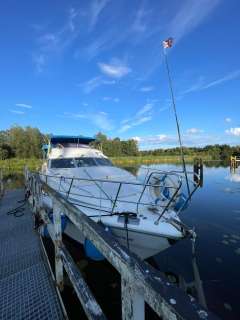 Birchwood TS49
