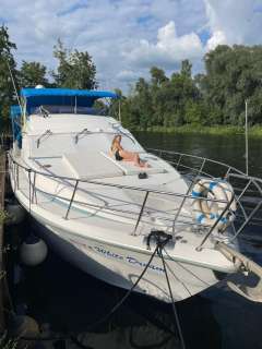 Birchwood TS49