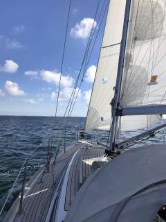 Hatecke Hornet 345
