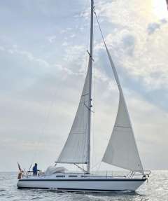 Hatecke Hornet 345