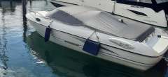 Stingray 195CX