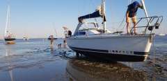 Kirie Feeling 29DI