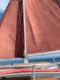 Colin Archer Danish Rose 34