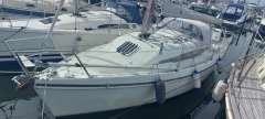 Hunter Ranger 265