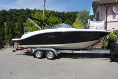 Sea Ray 190 SPXE & Trailer (1. Hand)